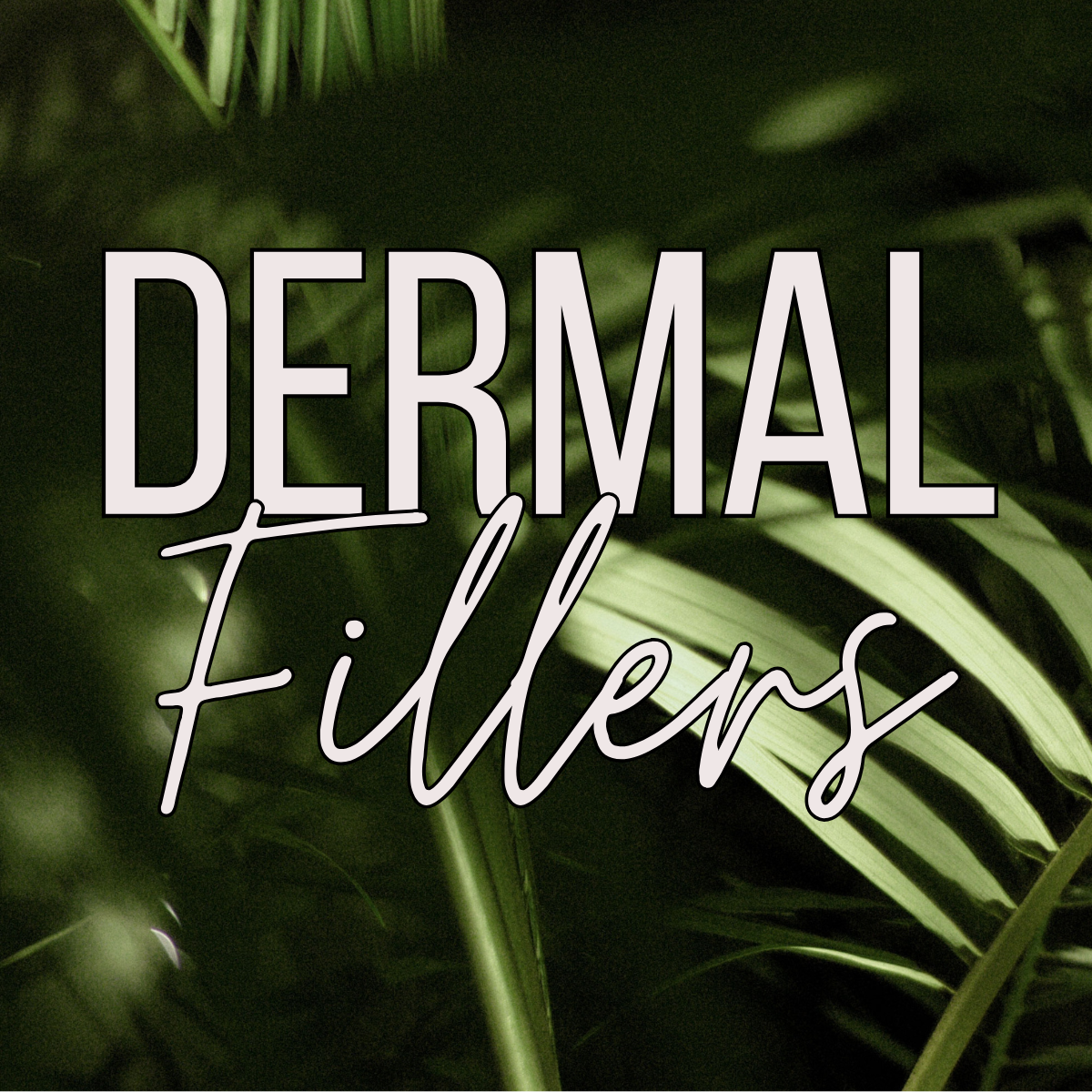 DERMAL FILLERS