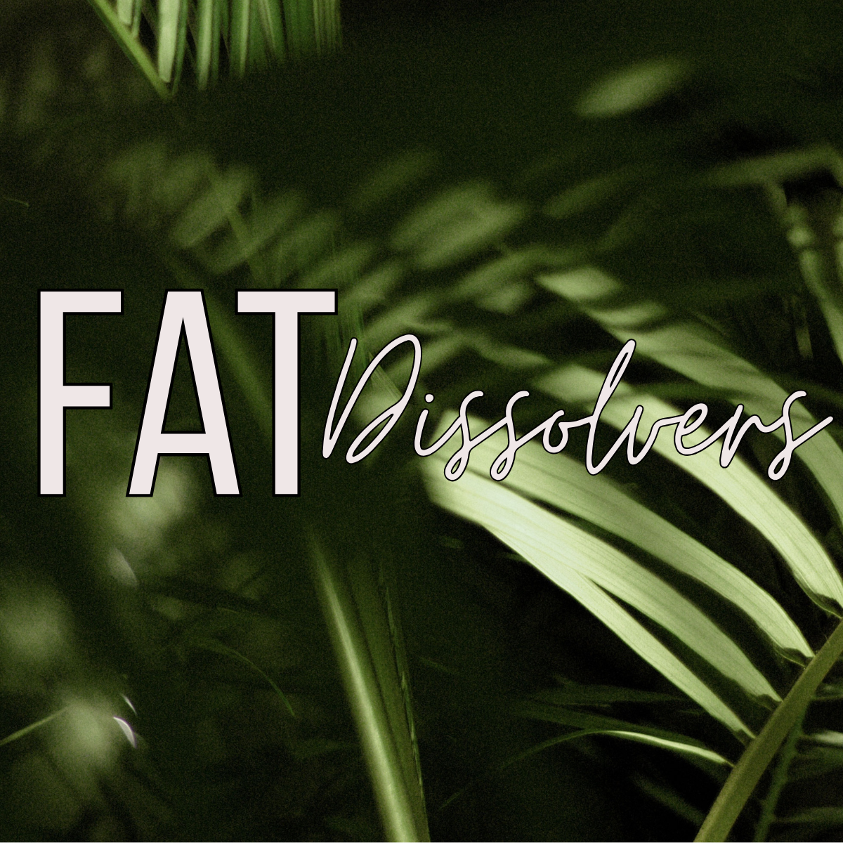 FAT DISSOLVERS