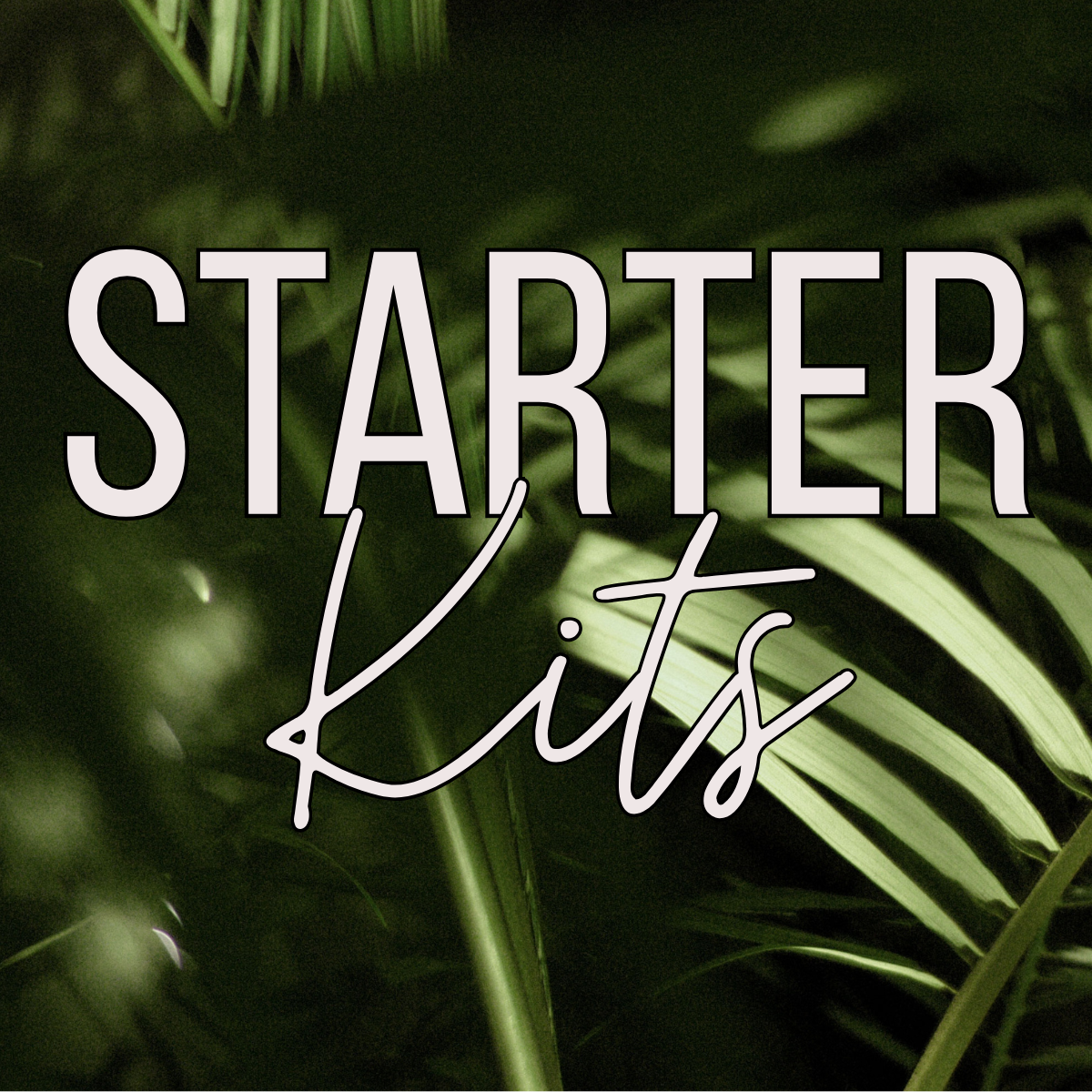 KITS